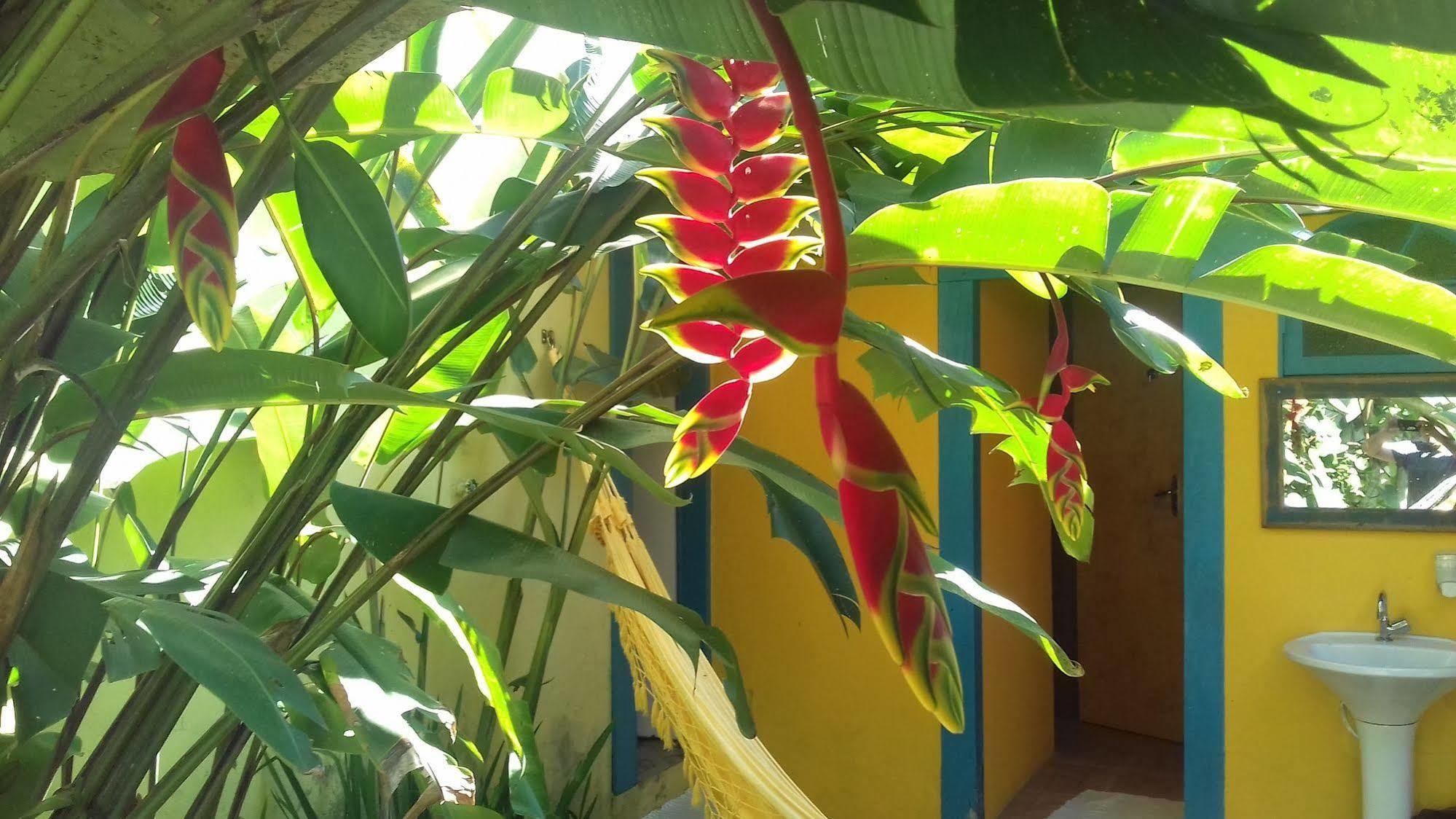 Maracuja Hostel Araquari Zewnętrze zdjęcie